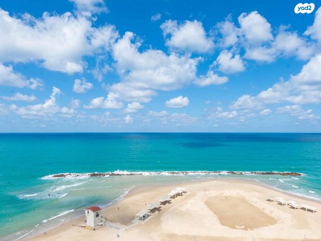 דוד אלעזר 10