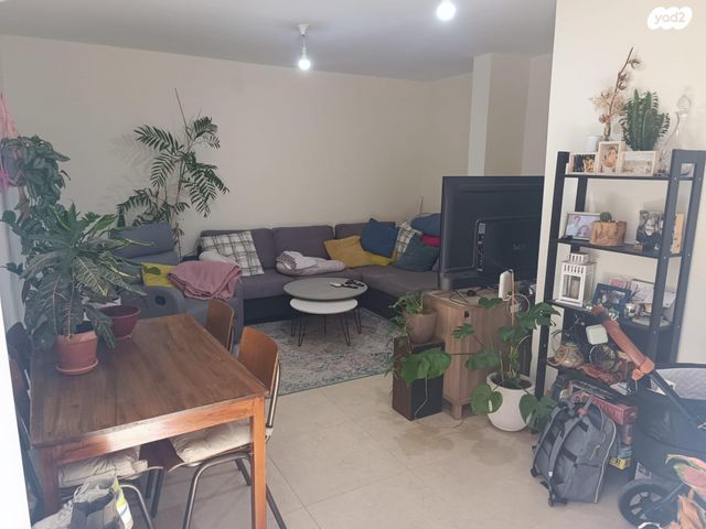 שמעון התרסי 33