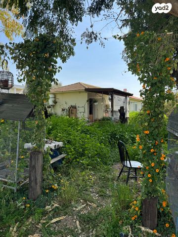 להבות חביבה 1