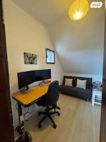 גבעת האילנות 2