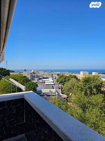 אבשלום חביב 4