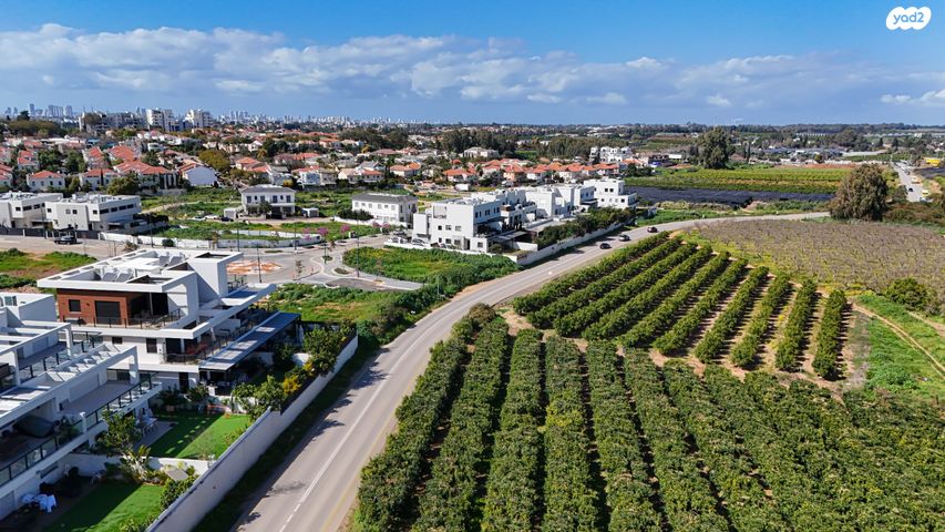 דירה, תל מונד