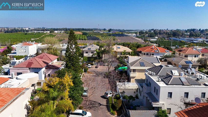 מודעת נכס, תל מונד