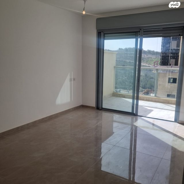 אבנר חי שאקי 