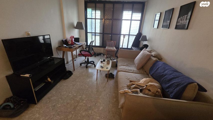 דירה, הרצליה הצעירה, הרצליה