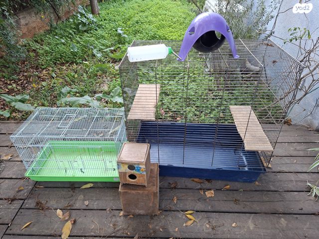 תמונת מודעה - חיות מחמד