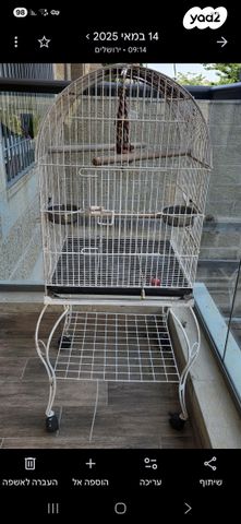 תמונת מודעה - חיות מחמד