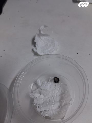 תמונת מודעה - חיות מחמד