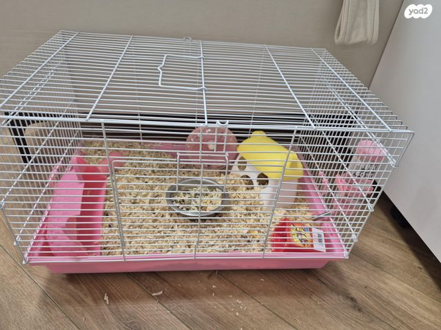 תמונת מודעה - חיות מחמד