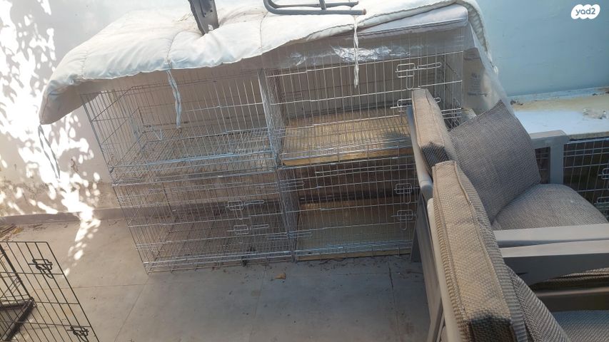 תמונת מודעה - חיות מחמד