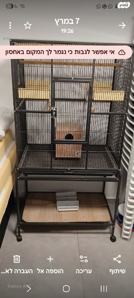 תמונת מודעה - חיות מחמד