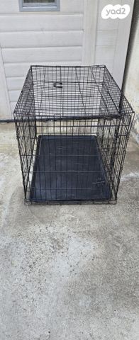 תמונת מודעה - חיות מחמד