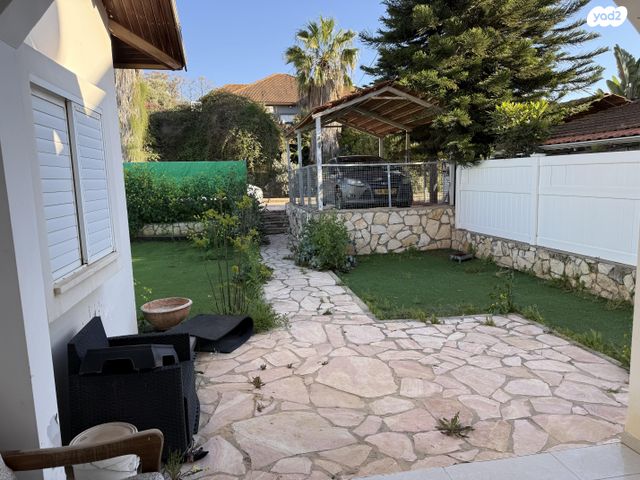 הרב דוד נורי 319