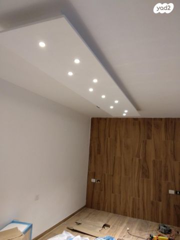 אלכסנדר רובוביץ' 313