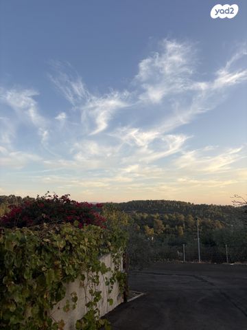 דרך חלמית 54