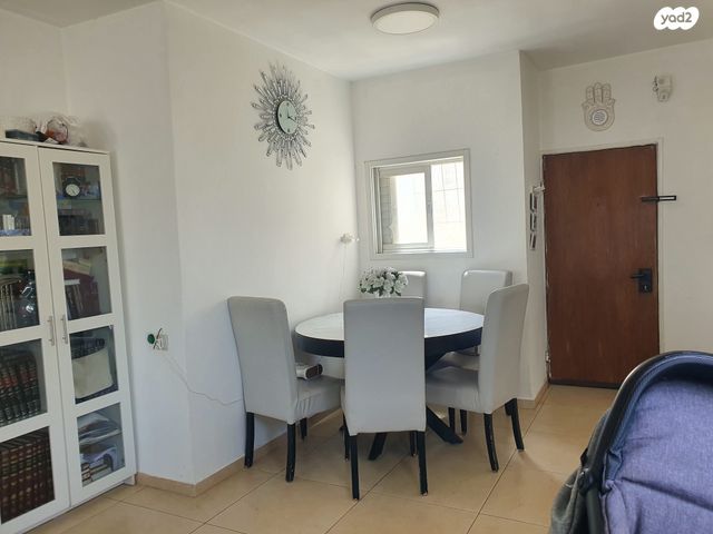 דוד כוכבי 24