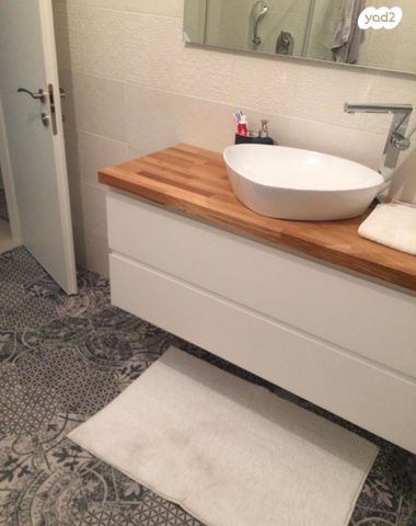 אריה שנקר 76