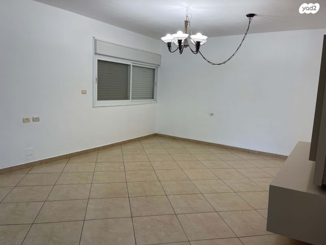 חגווי הסלע 81