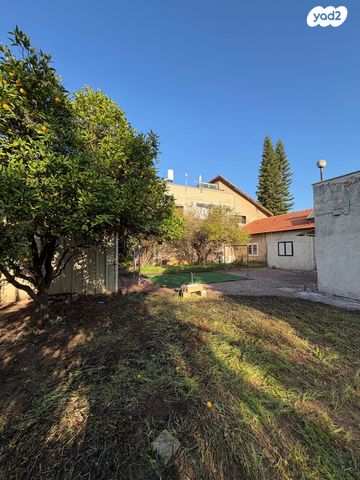 אבשלום דינוביץ 24