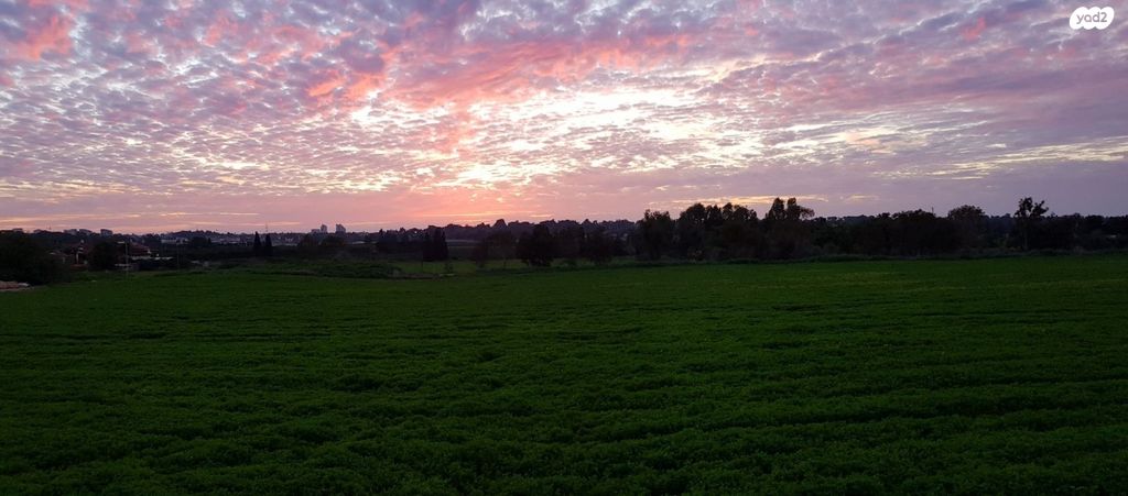 הרצליה הצעירה