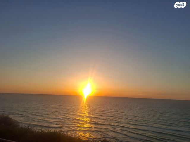 משק חקלאי/ נחלה