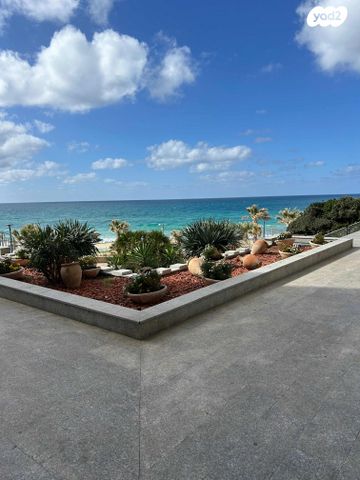 הרצל רוזנבלום 