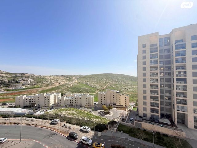 עמנואל זיסמן 