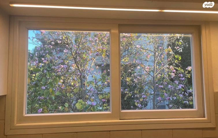 אחדות העבודה 