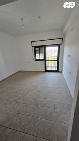 דוד שמעוני 36