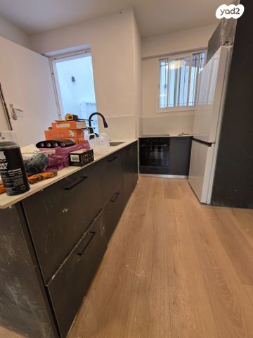 זלמן שניאור 