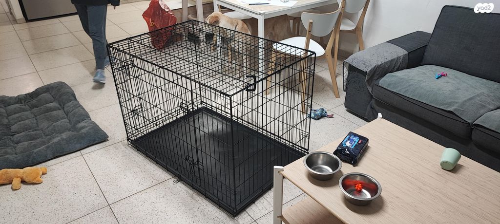 תמונת מודעה - חיות מחמד