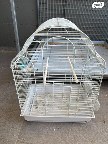 תמונת מודעה - חיות מחמד