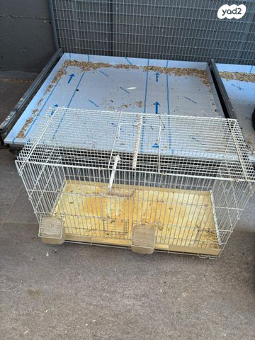 תמונת מודעה - חיות מחמד