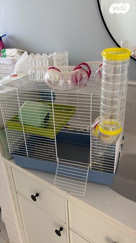 תמונת מודעה - חיות מחמד