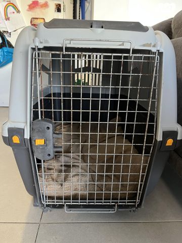 תמונת מודעה - חיות מחמד