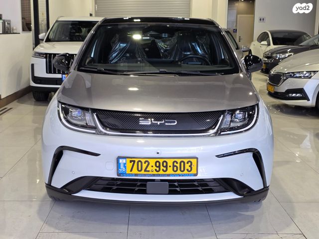 מודעת רכב בי.ווי.די דולפין