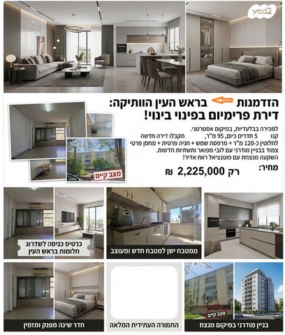 יהושע בן נון 41