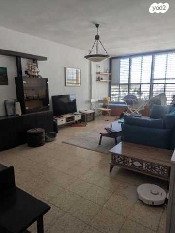 אריה שנקר 28