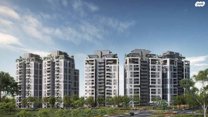 רועי קליין 4