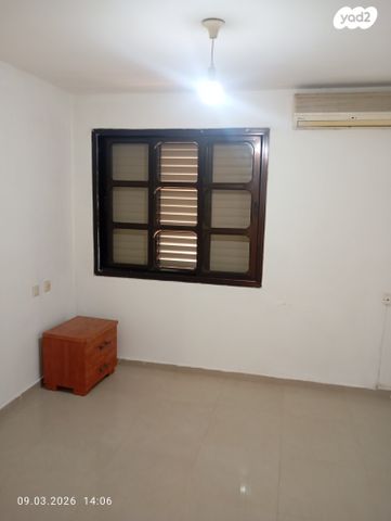 איילת השחר 21