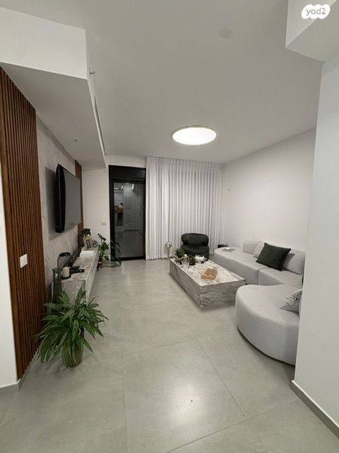 אמנון ליפקין שחק 6