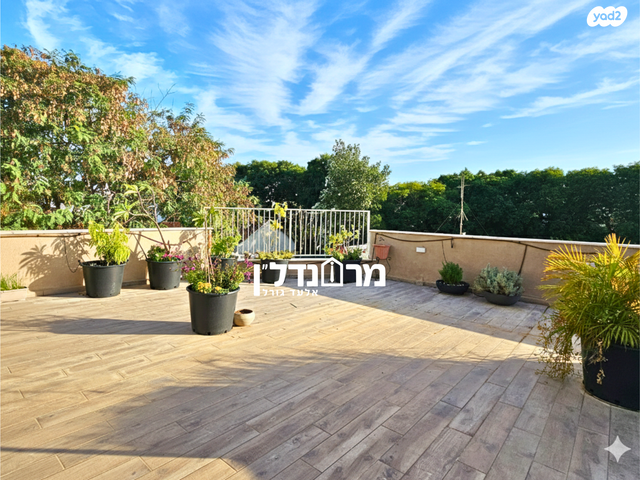 גג/ פנטהאוז, הרצליה