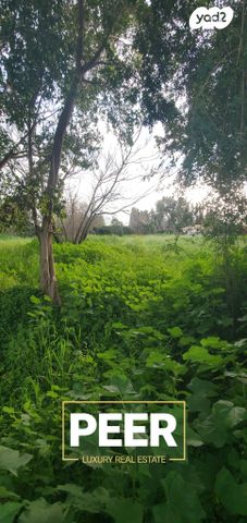 מרכז פרדס חנה