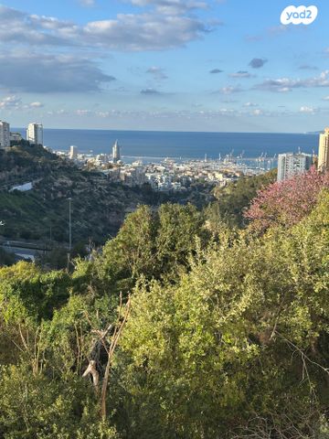 דירה, רמת ספיר, חיפה