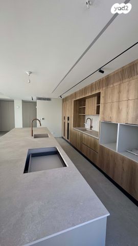 הרב ש. שאולזון 