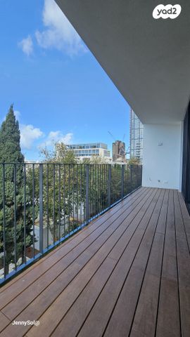 הצפון החדש - דרום