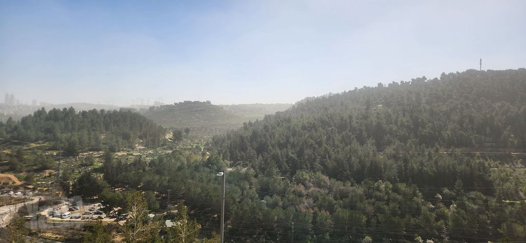 דופלקס להשכרה בירושלים (תיווך) — 3