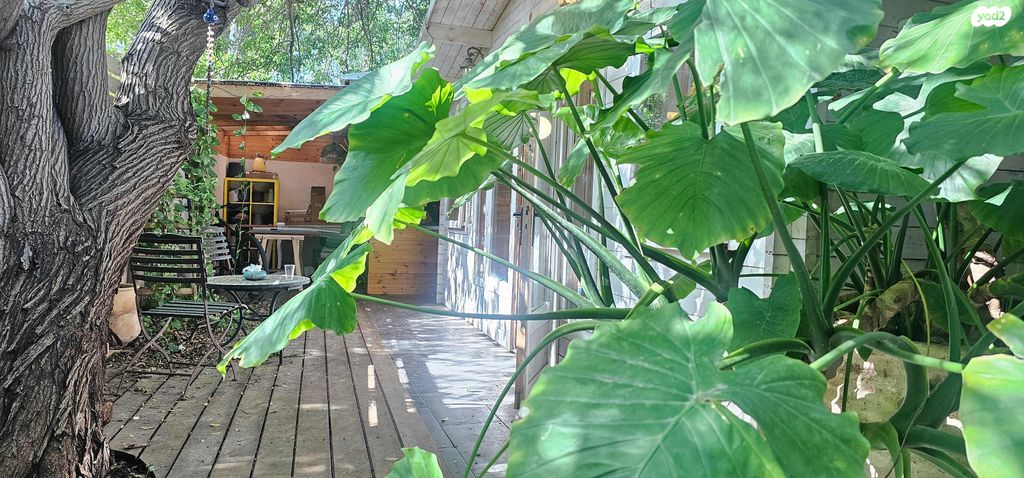 מודעת נכס, מודיעין 1, מורשה, רמת השרון