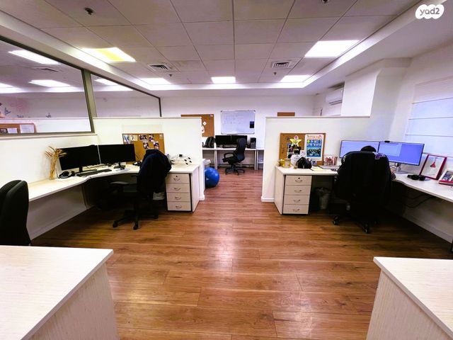 מודעת נכס, נשר