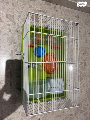 תמונת מודעה - חיות מחמד